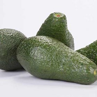 Fruto periforme con un cuello muy alargado en climas templados. La piel es medianamente gruesa, similar a la de Hass, de un color verde oscuro, con gránulos protuberantes y fácil de pelar. Tamaño mediano (230-425 gr.). La semilla es relativamente pequeña permitiendo un aprovechamiento de la pulpa del 82%. Su pulpa tiene una buena calidad con sabor a nuez.
