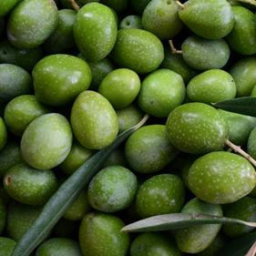 Aceite de oliva ecologico